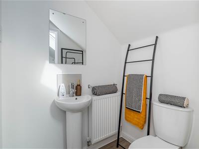 Picture 24